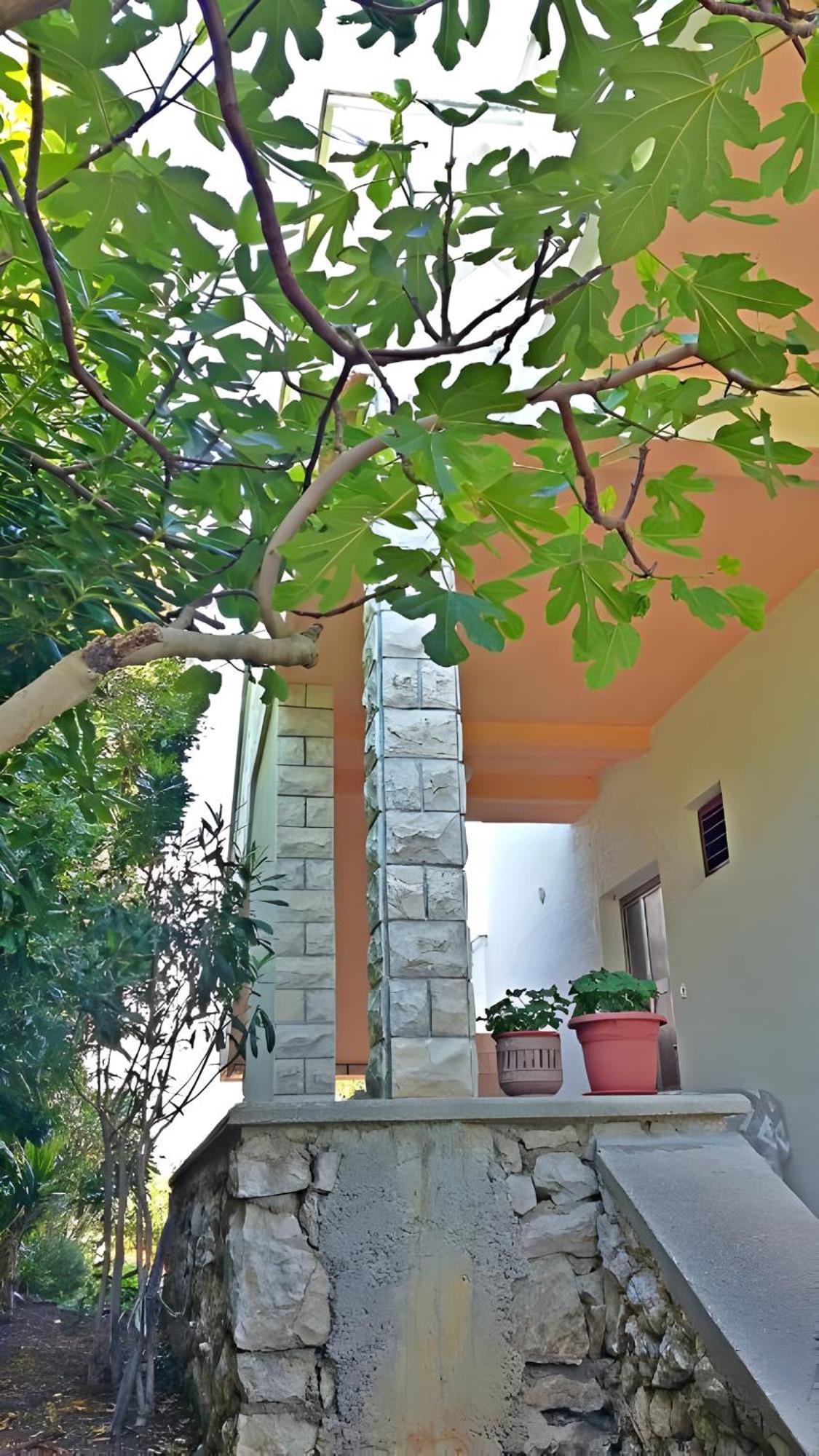 Cozy Apartments Danica Novalja - Ground Floor Экстерьер фото